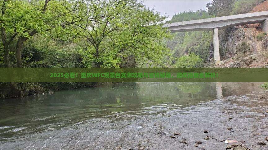 八月去重庆wfc观景台攻略