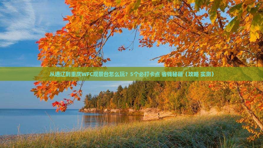 通辽到重庆wfc观景台哪里玩
