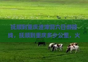 抚顺到重庆渣滓洞六日游