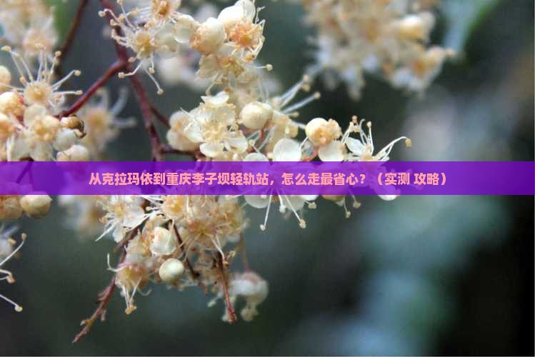克拉玛依去重庆李子坝轻轨站景点