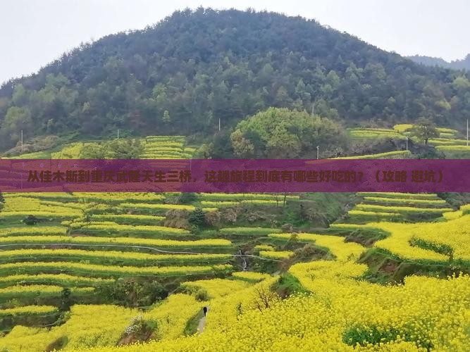 佳木斯到重庆武隆天生三桥旅游小吃