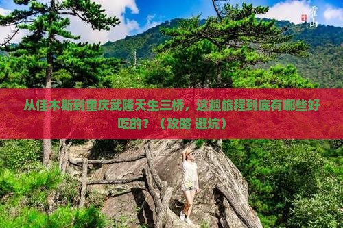 佳木斯到重庆武隆天生三桥旅游小吃