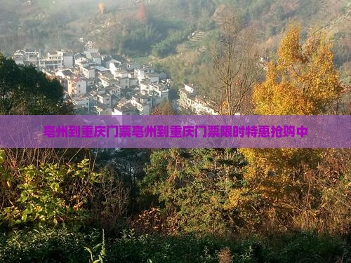 亳州到重庆门票