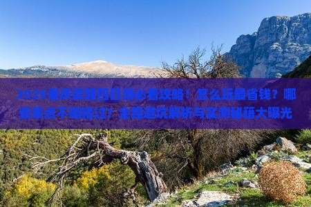 二月到重庆武隆四日游