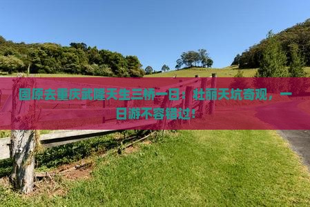 固原去重庆武隆天生三桥一日