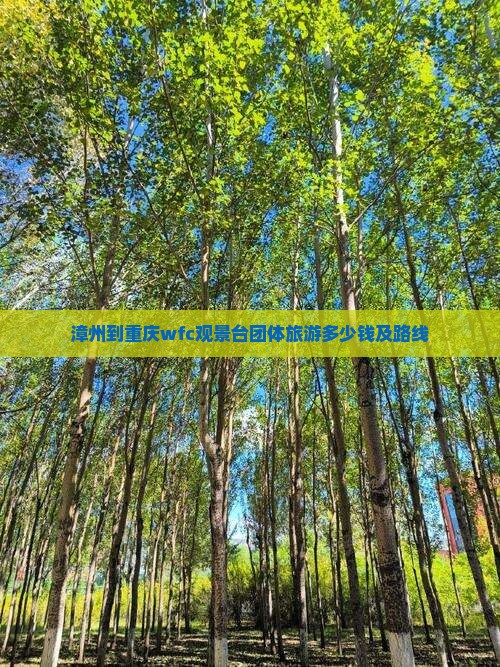 漳州到重庆wfc观景台团体旅游