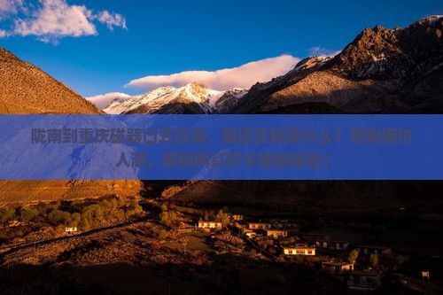 陇南到重庆磁器口五日游
