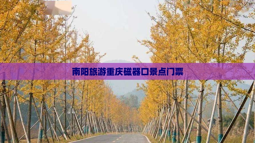 南阳去重庆磁器口门票
