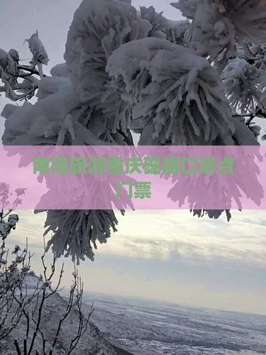 南阳去重庆磁器口门票