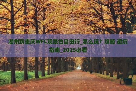 湖州到重庆wfc观景台自由行
