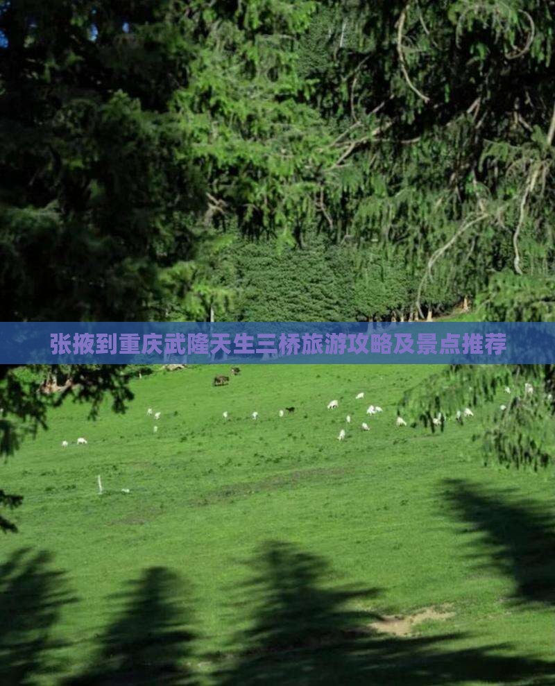 张掖去重庆武隆天生三桥自由行