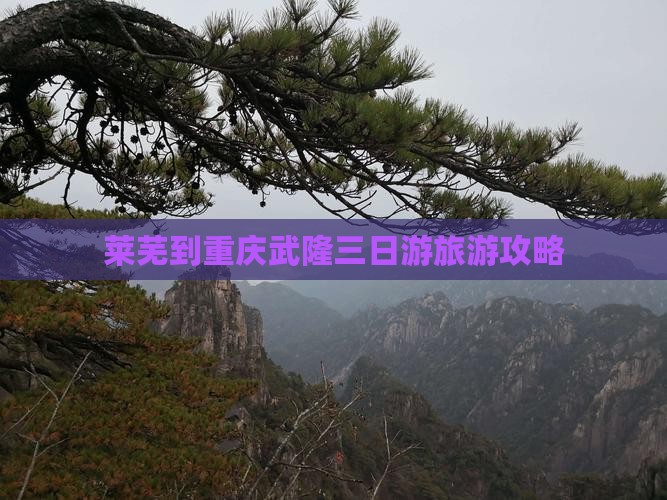 莱芜到重庆武隆三日游