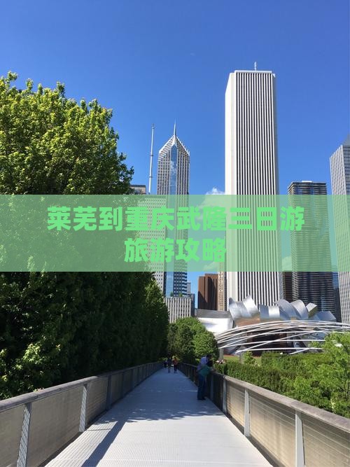 莱芜到重庆武隆三日游