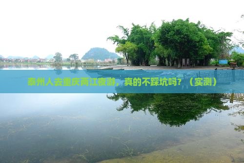 泰州去重庆两江夜游攻略