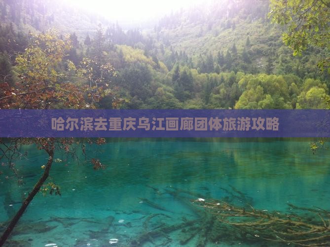 哈尔滨去重庆乌江画廊团体旅游