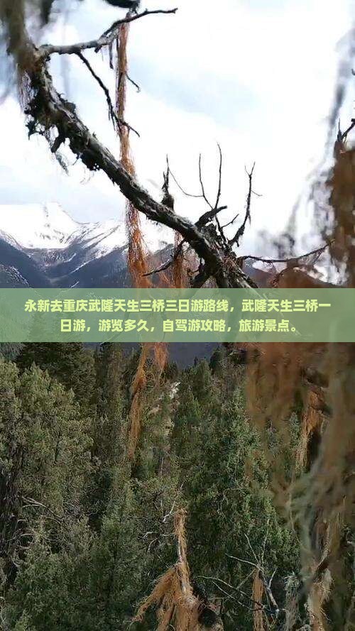 永新去重庆武隆天生三桥三日游