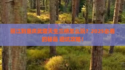 丽江到重庆武隆天生三桥哪里玩