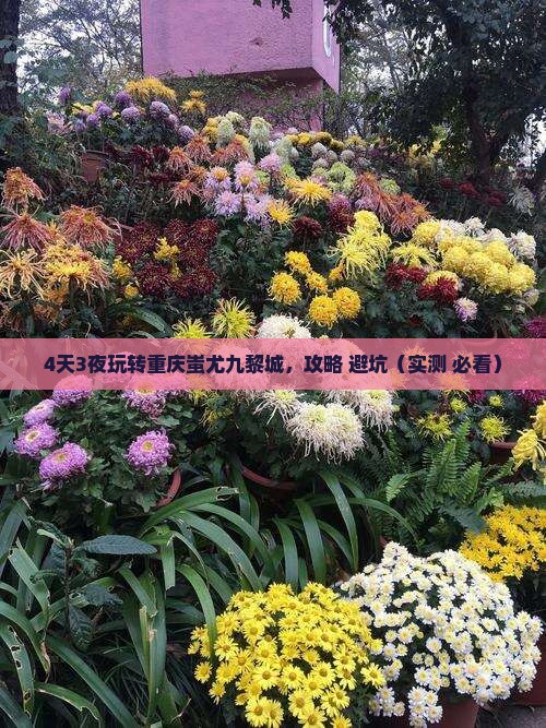 国庆节到重庆蚩尤九黎城四日游