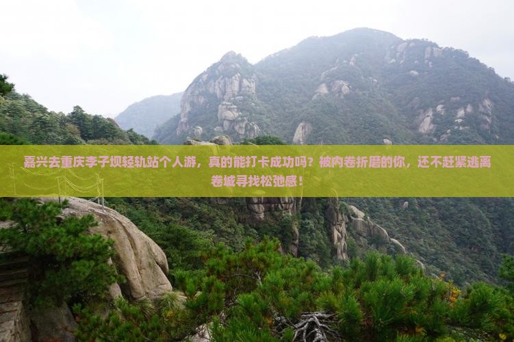 嘉兴去重庆李子坝轻轨站个人游