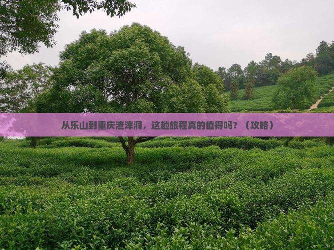 乐山到重庆渣滓洞旅游