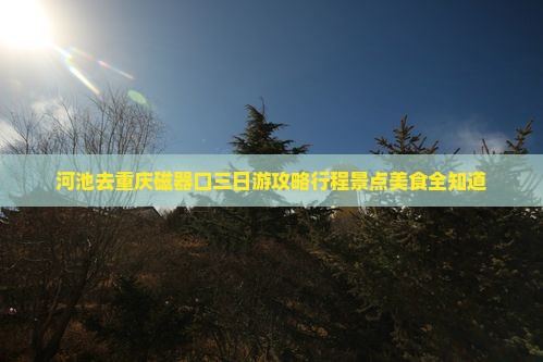 河池去重庆磁器口三日游
