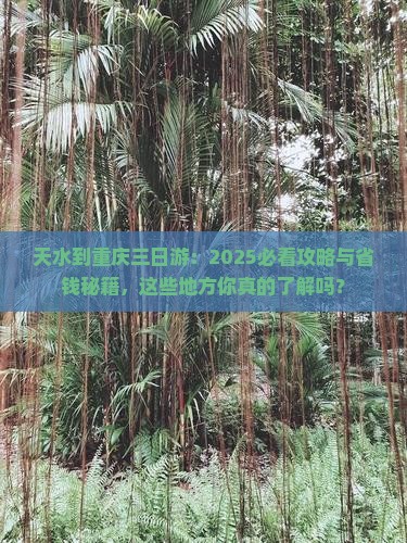 天水到重庆三日游