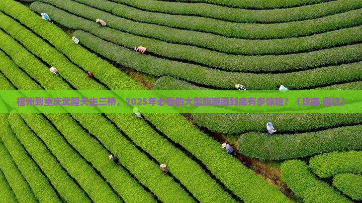 梧州到重庆武隆天生三桥大型旅游团
