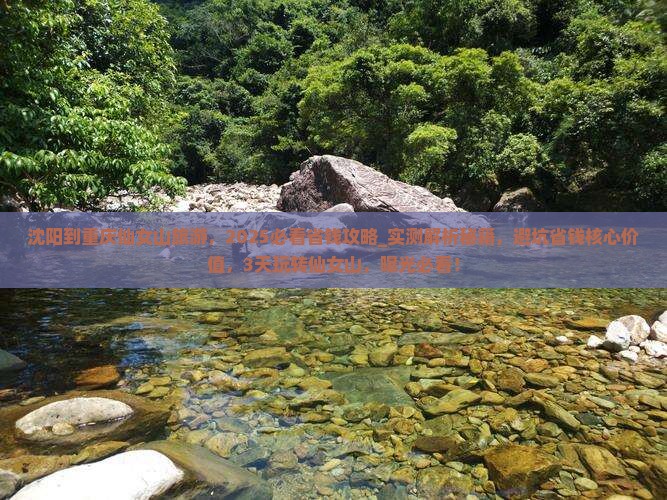 沈阳到重庆仙女山旅游