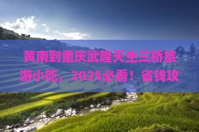 黄南到重庆武隆天生三桥旅游小吃
