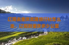辽阳去重庆武隆旅行社