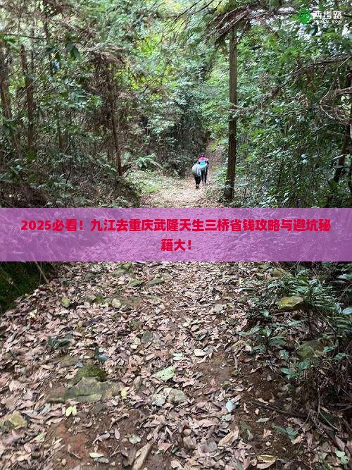 九江去重庆武隆天生三桥攻略