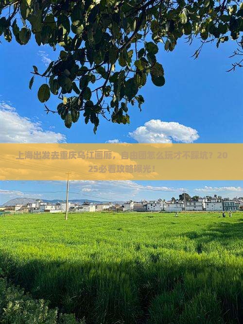 上海去重庆乌江画廊自由团 上海去重庆乌江画廊自由团