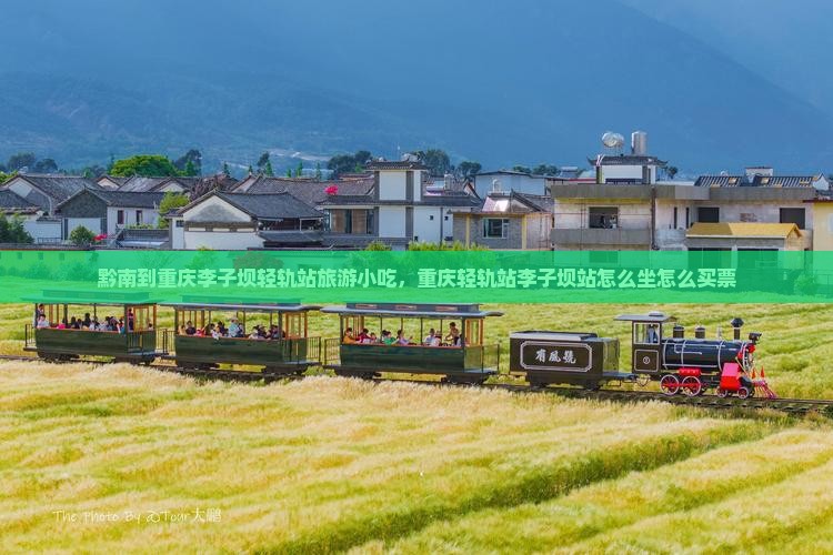 黔南到重庆李子坝轻轨站旅游小吃