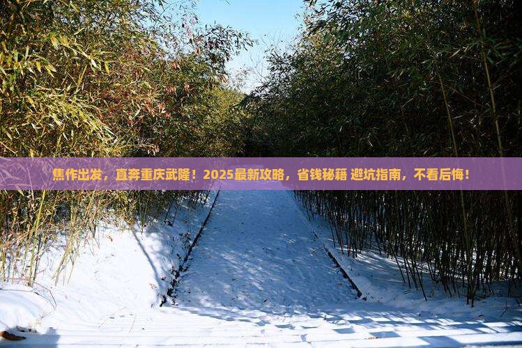 焦作到重庆武隆旅行社