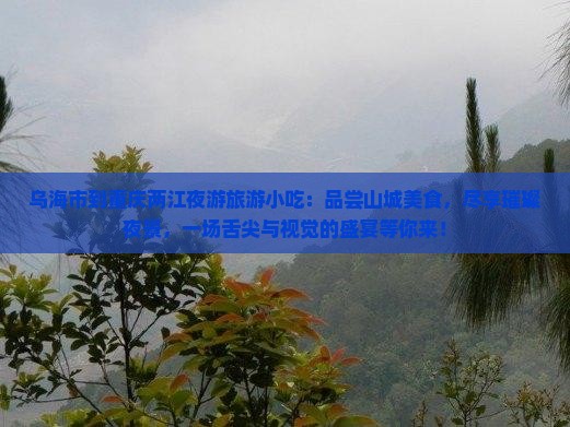 乌海市到重庆两江夜游旅游小吃