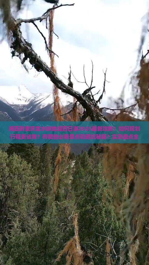 湘西到重庆龙水峡地缝四日游