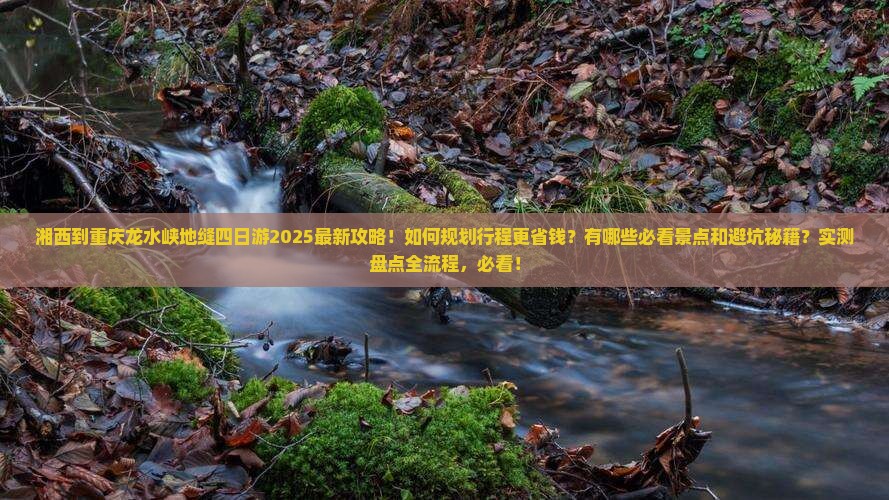 湘西到重庆龙水峡地缝四日游