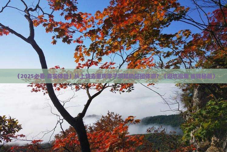 上饶到重庆李子坝轻轨站团体旅游