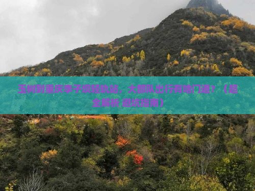 玉树到重庆李子坝轻轨站大型旅游团