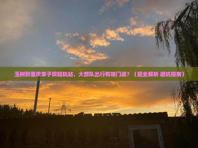玉树到重庆李子坝轻轨站大型旅游团