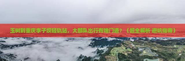 玉树到重庆李子坝轻轨站大型旅游团