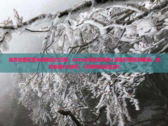 自贡去重庆龙水峡地缝六日游