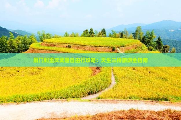厦门到重庆武隆自由行