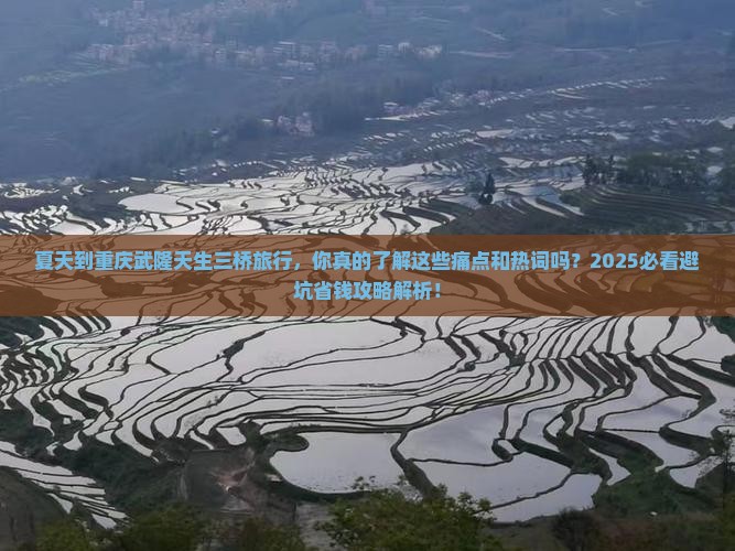 夏天到重庆武隆天生三桥旅行社
