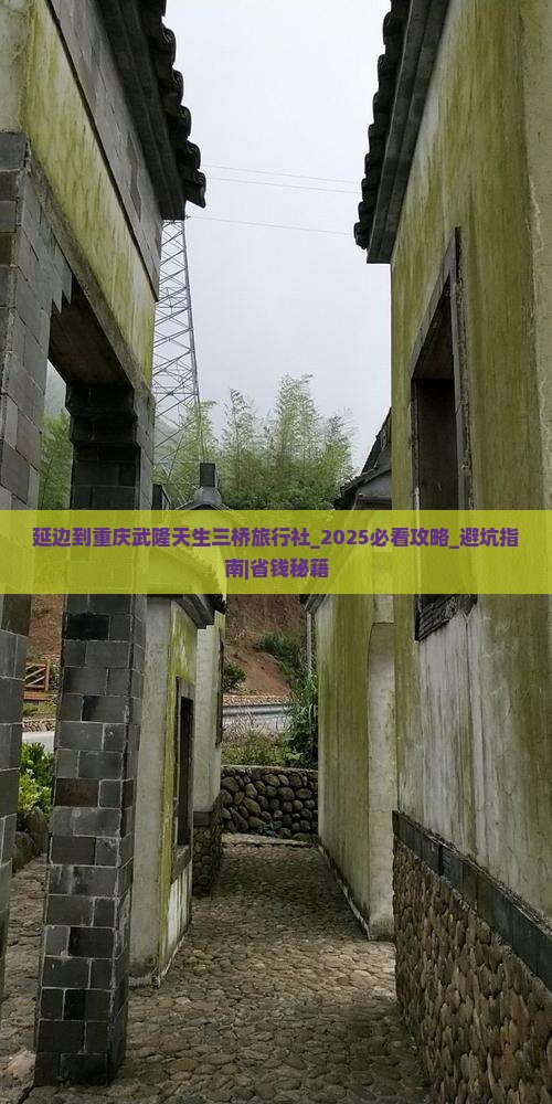 延边到重庆武隆天生三桥旅行社