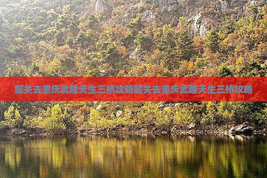 韶关去重庆武隆天生三桥攻略