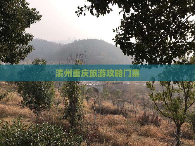 滨州去重庆门票