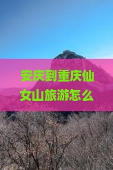 安庆到重庆仙女山旅游