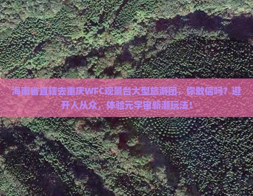 海南省直辖去重庆wfc观景台大型旅游团
