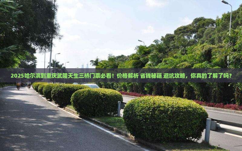 哈尔滨到重庆武隆天生三桥门票